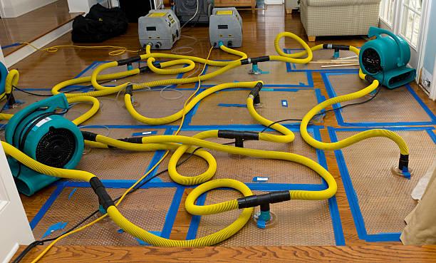 Professional Crawl Space Water Removal technician working in Molalla, OR
